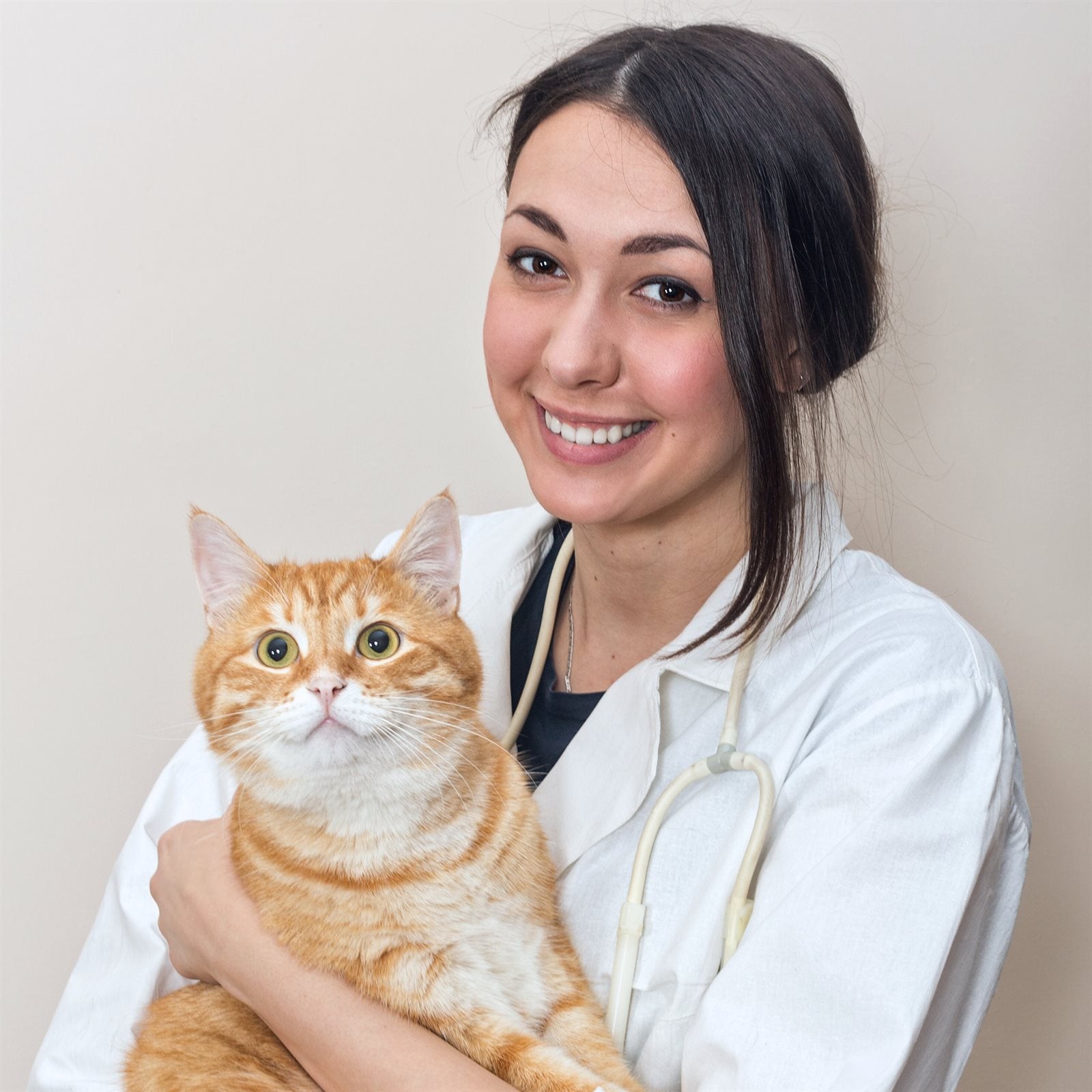 Hear From Dr. Sarah Mitchell, DVM